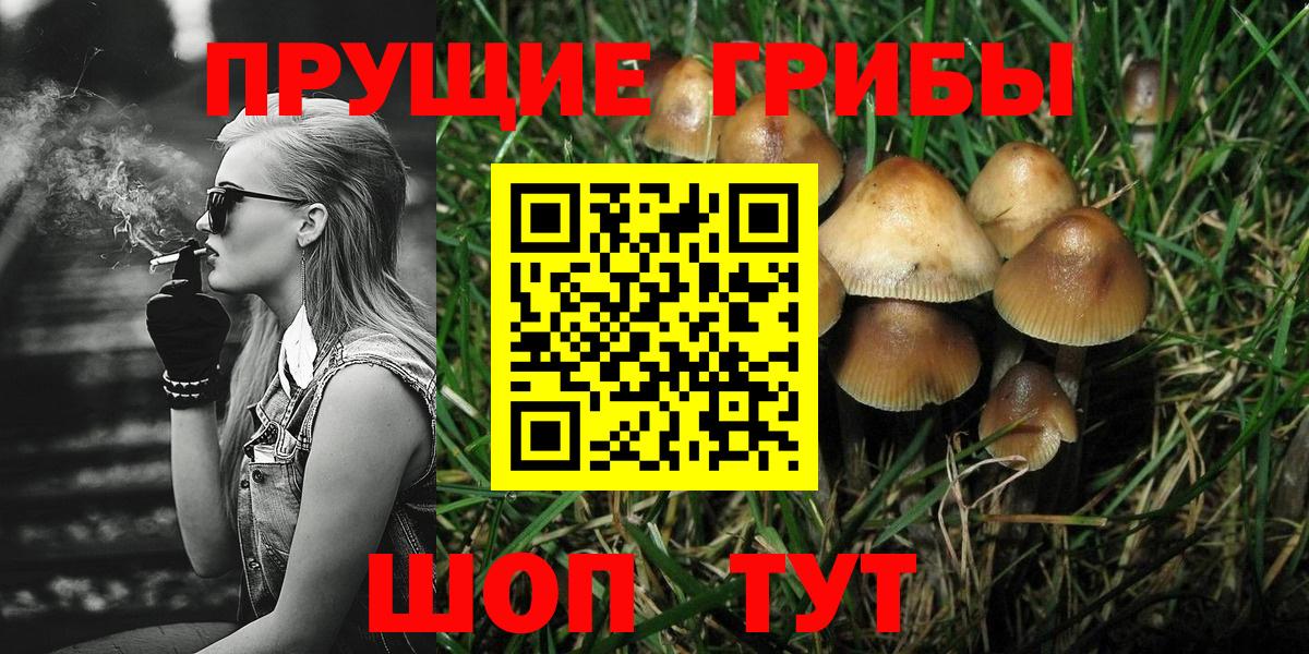 Псилоцибиновые грибы прущие грибы Алексеевка